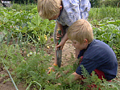 Zwei Kinder bei der Gartenarbeit; Rechte WDR (TV-Bild)